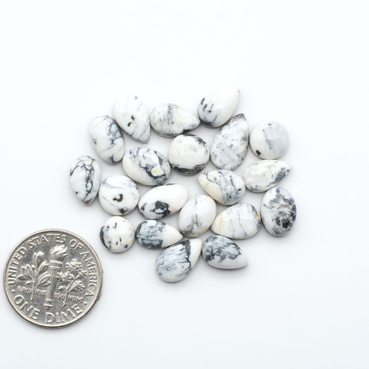 White Buffalo stone cabochons, white stone with black matrix, polished stones on a white background, with a US dime for scale