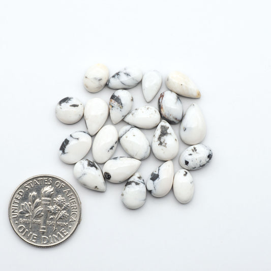 White Buffalo stone cabochons, white stone with black matrix, polished stones on a white background, with a US dime for scale