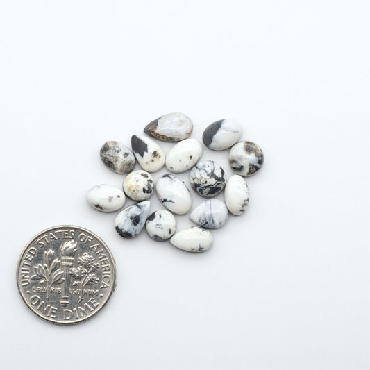 White Buffalo stone cabochons, white stone with black matrix, polished stones on a white background, with a US dime for scale