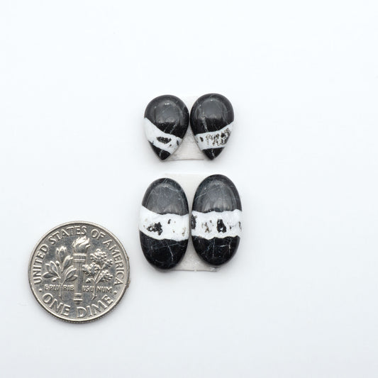 White Buffalo stone cabochons, white stone with black matrix, polished stones on a white background, with a US dime for scale
