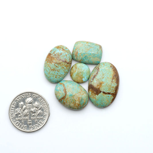 Number 8 Turquoise cabochons, blue and green color with brown matrix, polished stones on a white background, with a US dime for scale