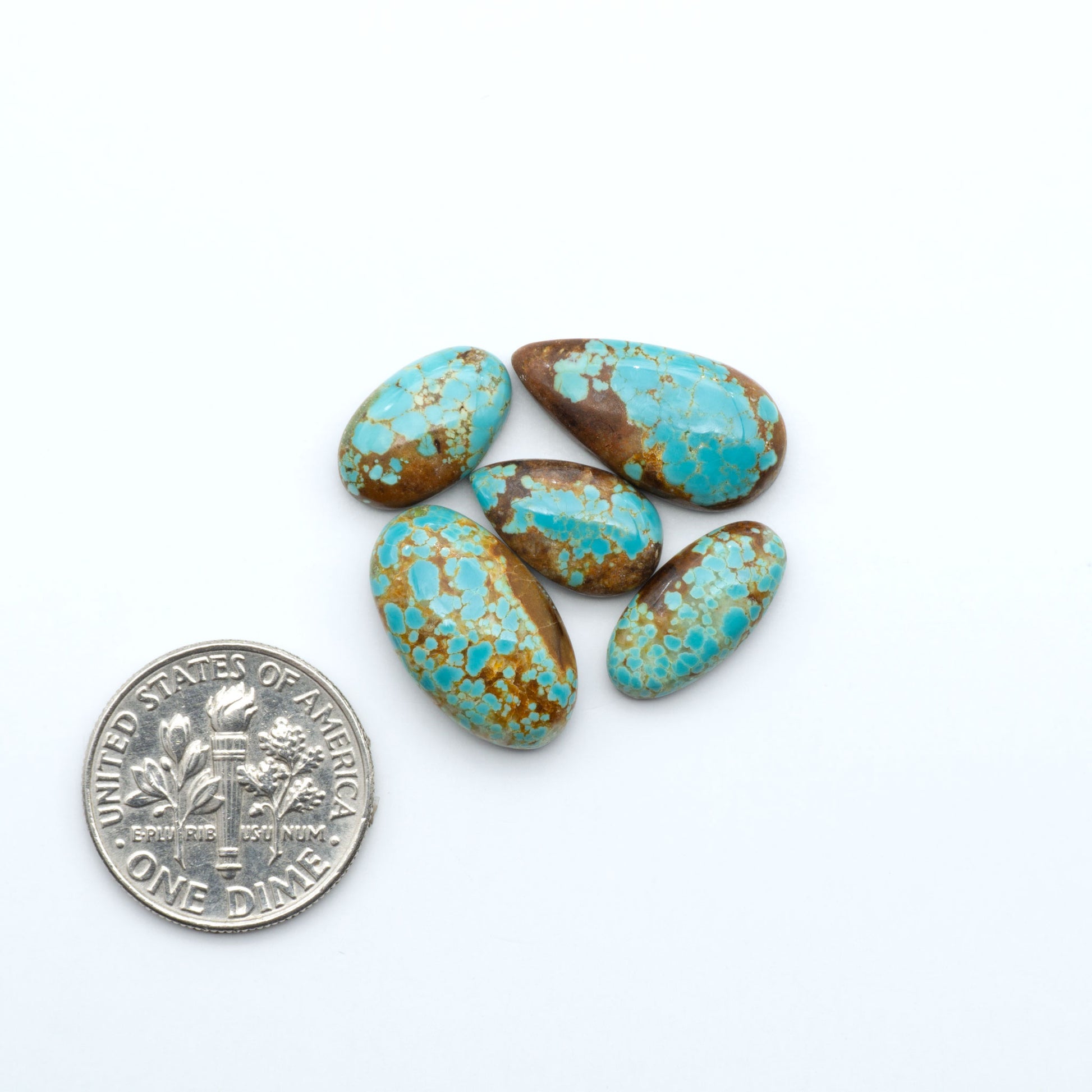Number 8 Turquoise cabochons, blue and green color with brown matrix, polished stones on a white background, with a US dime for scale