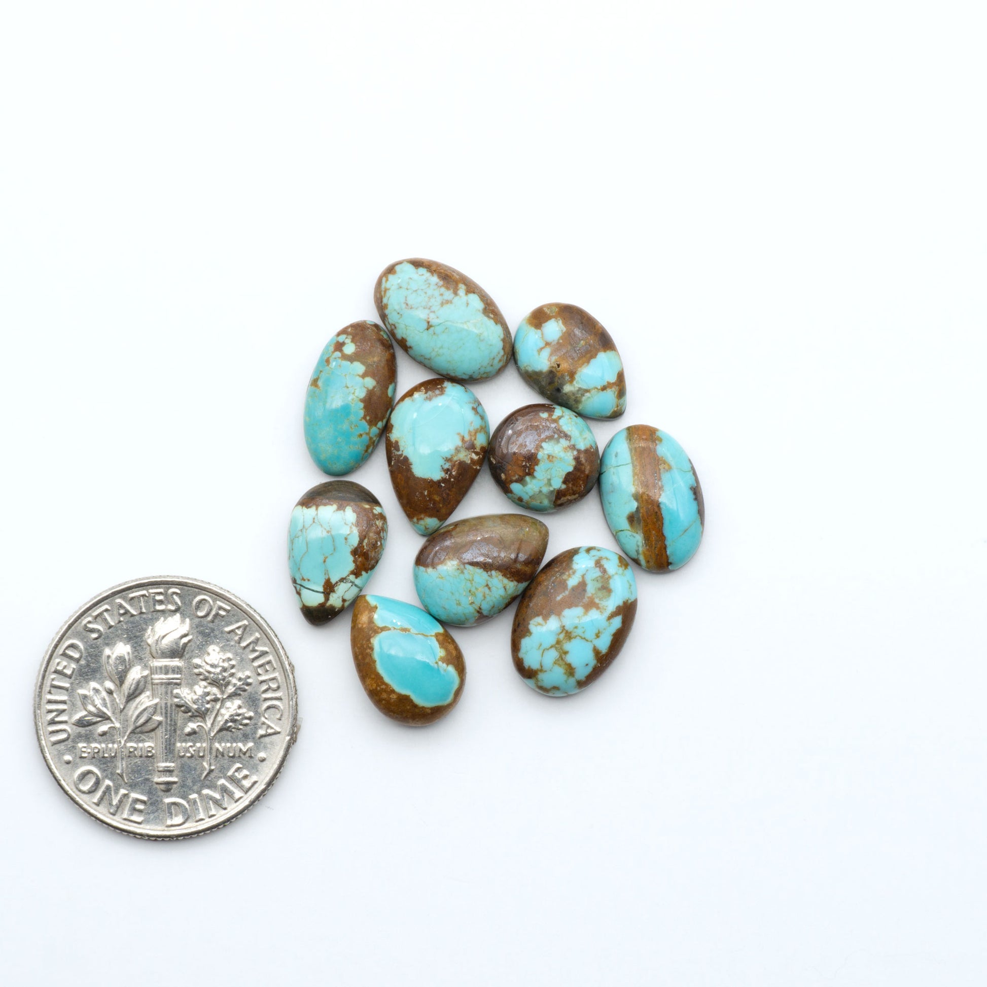 Number 8 Turquoise cabochons, blue and green color with brown matrix, polished stones on a white background, with a US dime for scale