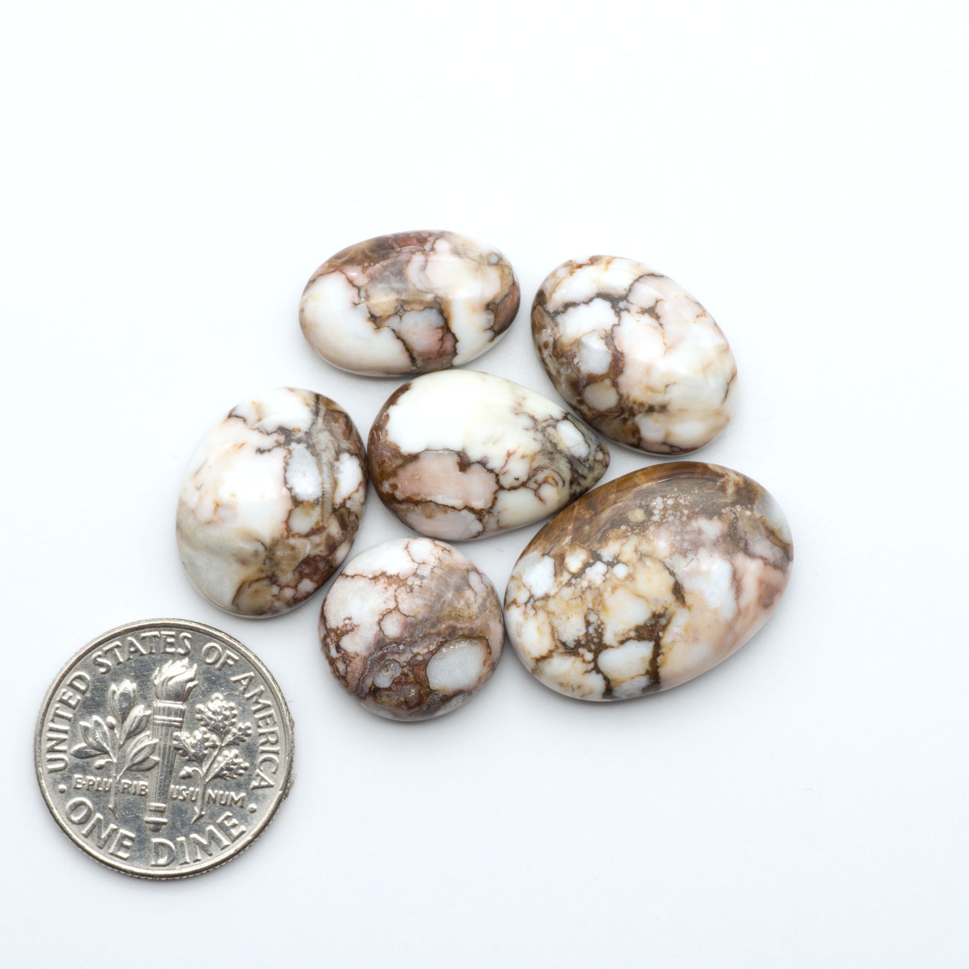 Wild Horse Magnesite cabochons, white gemstones with brown matrix on a white background, with a US dime for scale