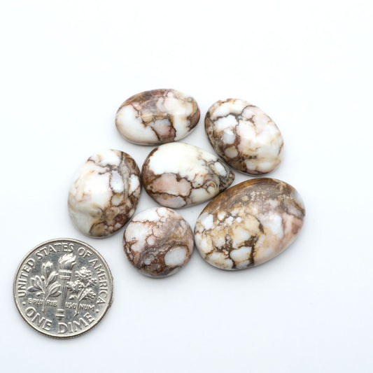 Wild Horse Magnesite cabochons, white gemstones with brown matrix on a white background, with a US dime for scale