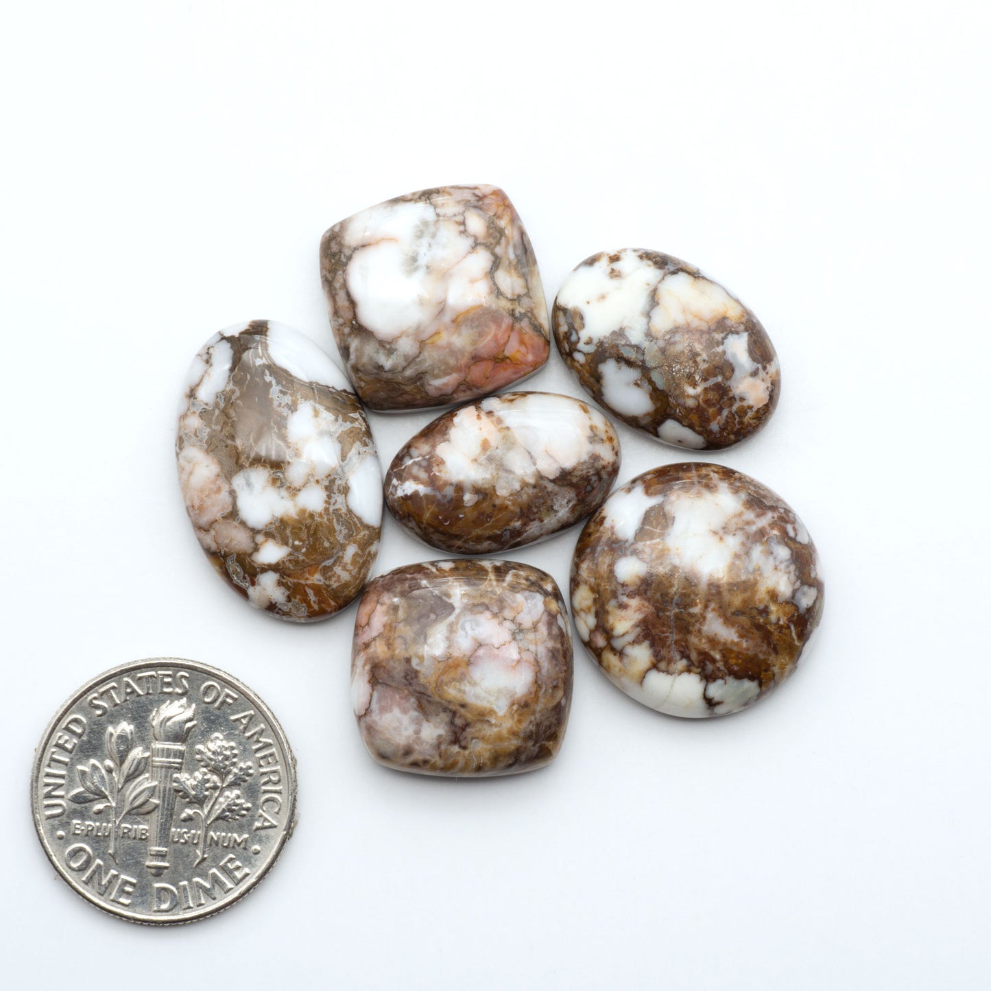 Wild Horse Magnesite cabochons, white gemstones with brown matrix on a white background, with a US dime for scale