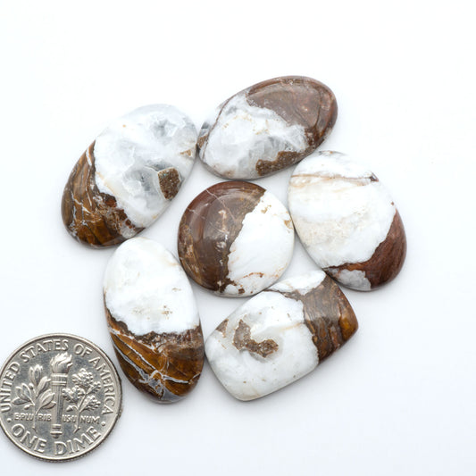 Wild Horse Magnesite cabochons, white gemstones with brown matrix on a white background, with a US dime for scale