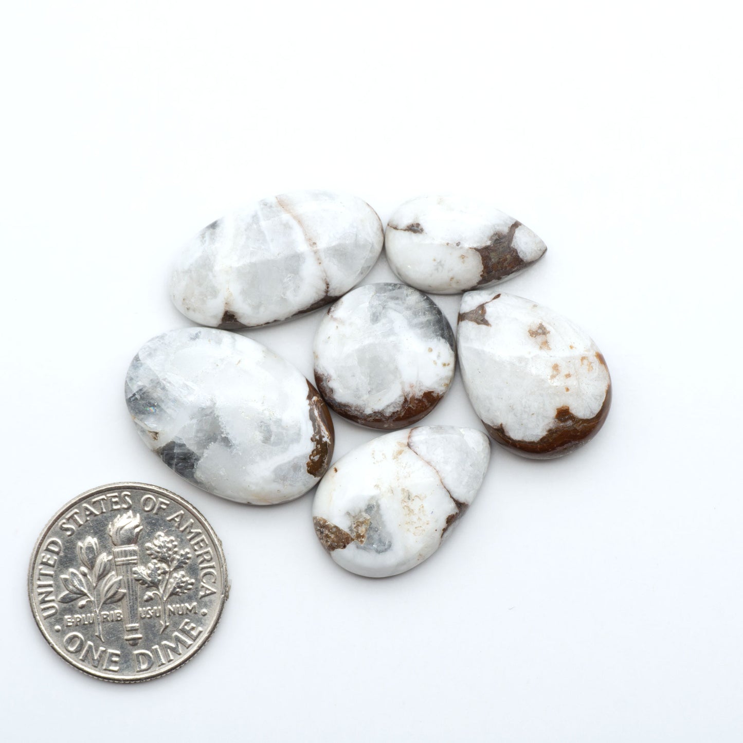 Wild Horse Magnesite cabochons, white gemstones with brown matrix on a white background, with a US dime for scale
