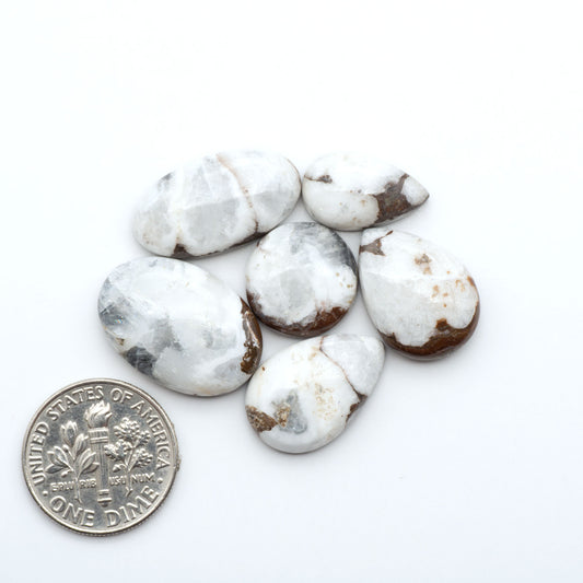 Wild Horse Magnesite cabochons, white gemstones with brown matrix on a white background, with a US dime for scale