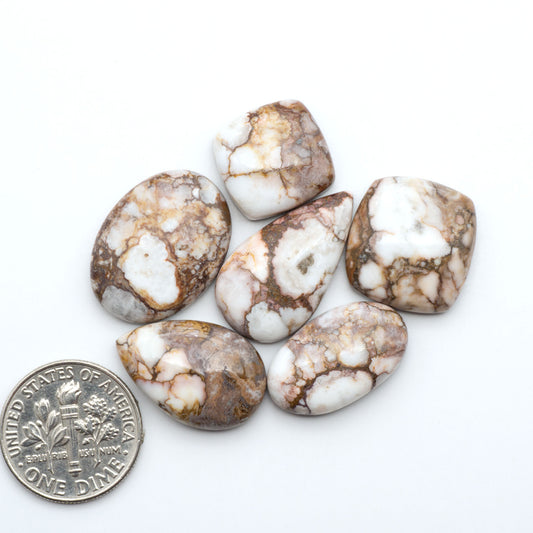 Wild Horse Magnesite cabochons, white gemstones with brown matrix on a white background, with a US dime for scale