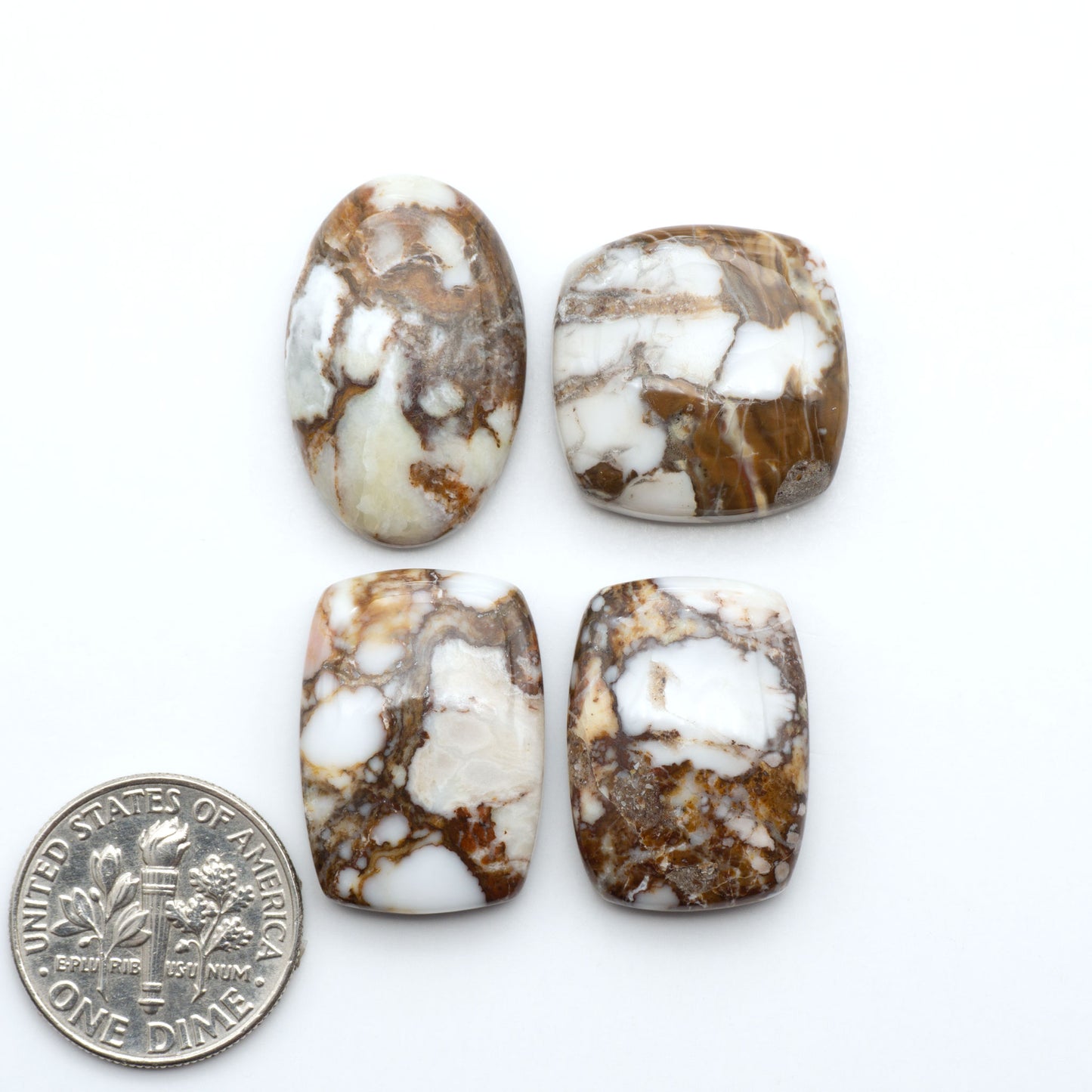 Wild Horse Magnesite cabochons, white gemstones with brown matrix on a white background, with a US dime for scale