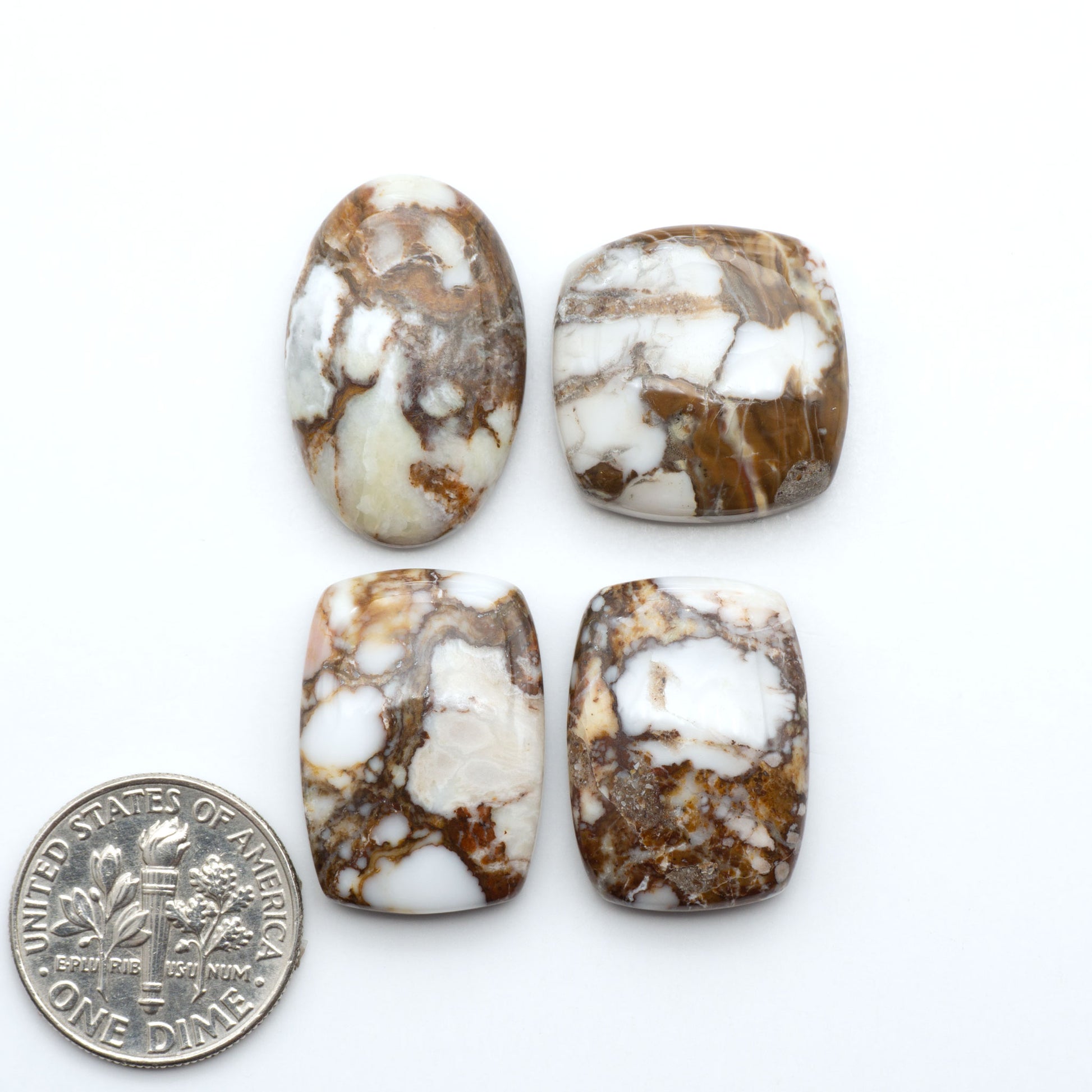 Wild Horse Magnesite cabochons, white gemstones with brown matrix on a white background, with a US dime for scale