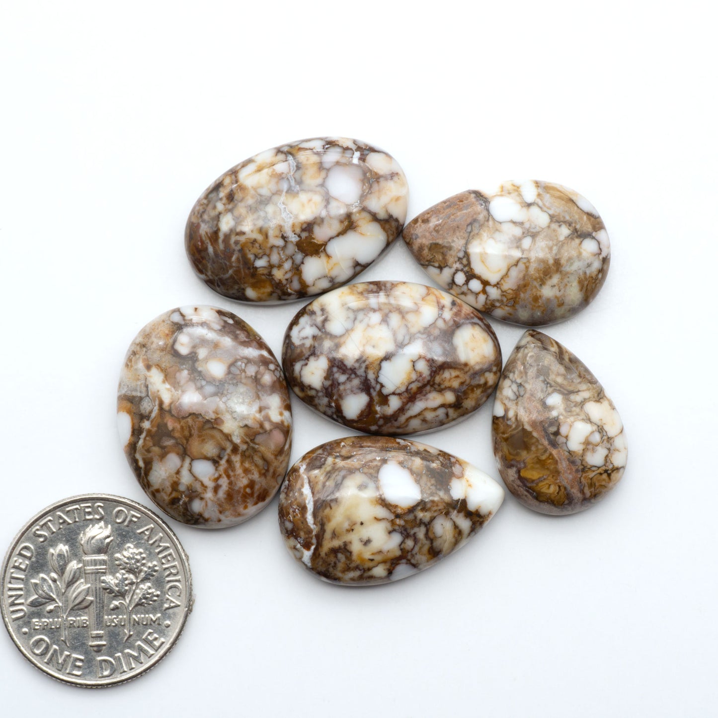Wild Horse Magnesite cabochons, white gemstones with brown matrix on a white background, with a US dime for scale
