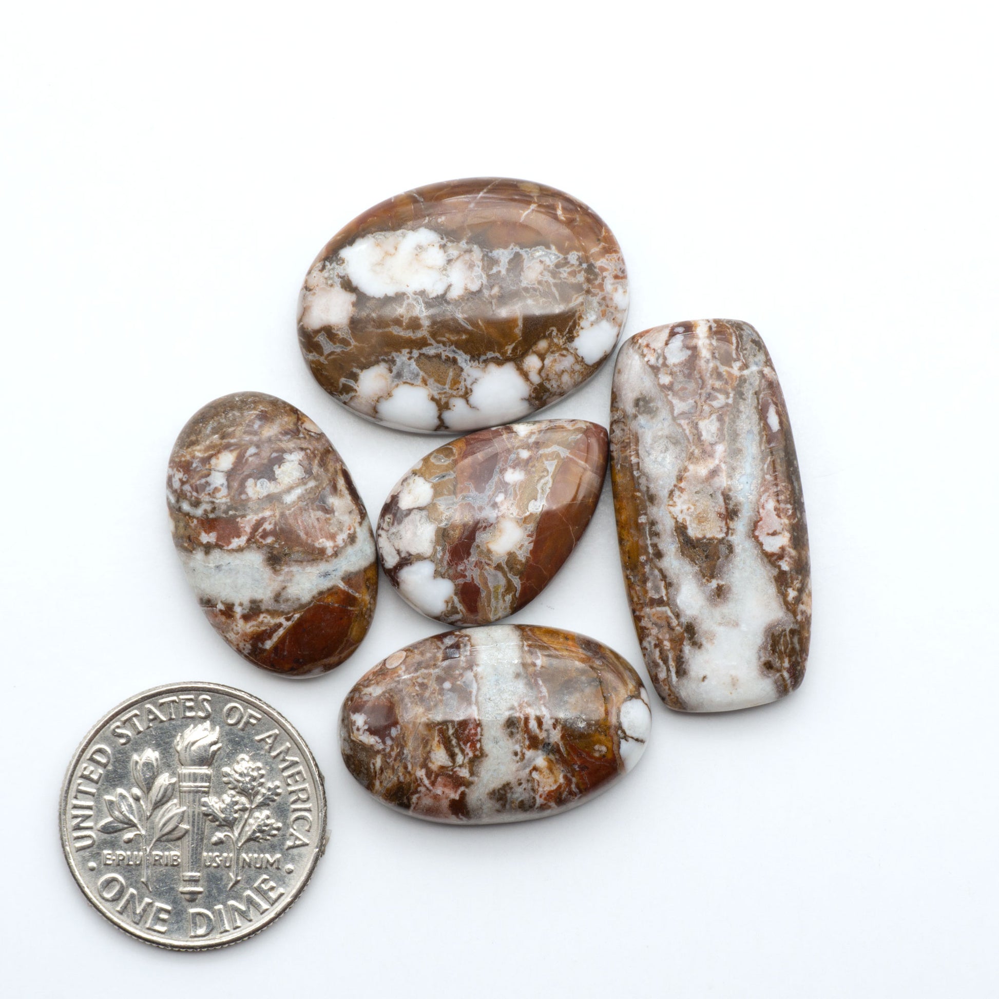 Wild Horse Magnesite cabochons, white gemstones with brown matrix on a white background, with a US dime for scale