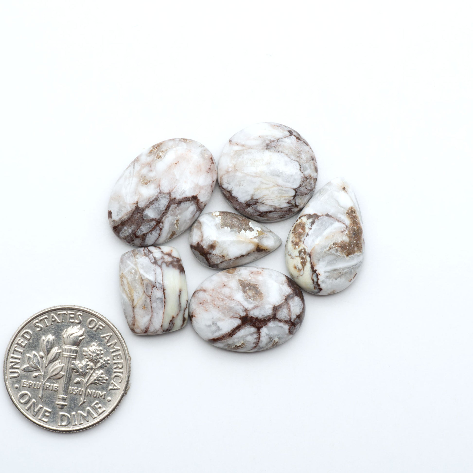 Wild Horse Magnesite cabochons, white gemstones with brown matrix on a white background, with a US dime for scale