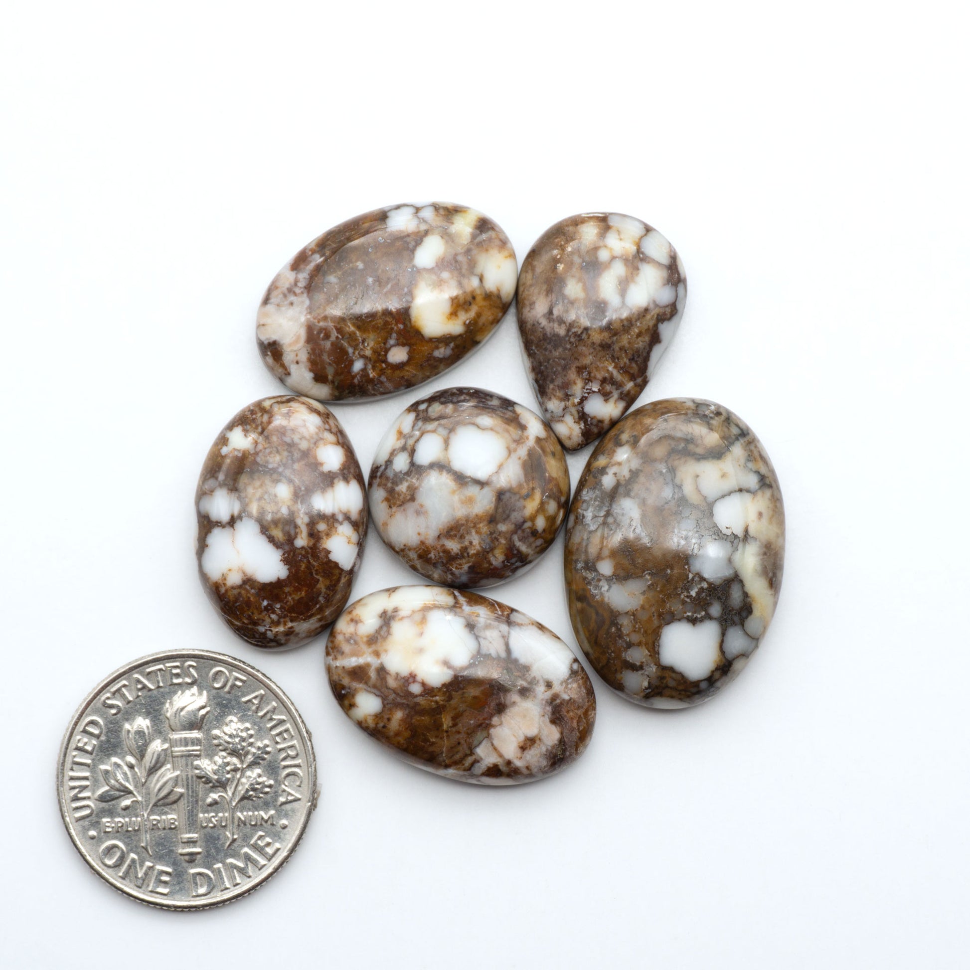 Wild Horse Magnesite cabochons, white gemstones with brown matrix on a white background, with a US dime for scale