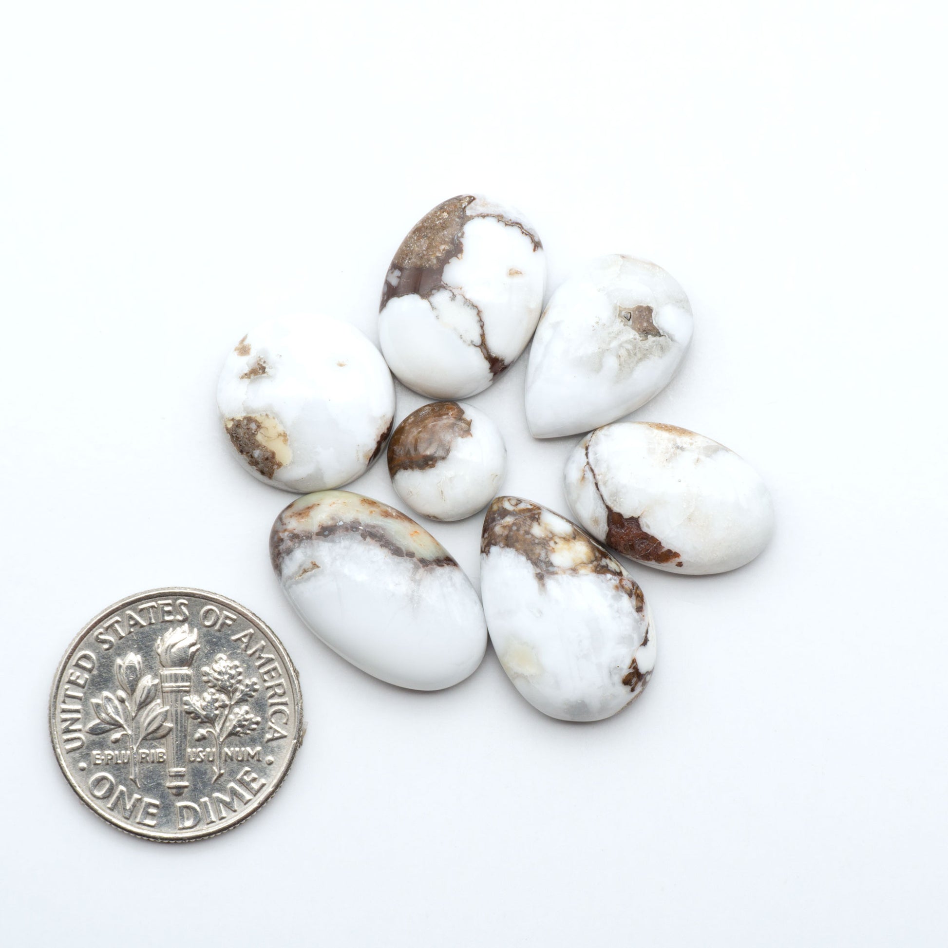 Wild Horse Magnesite cabochons, white gemstones with brown matrix on a white background, with a US dime for scale