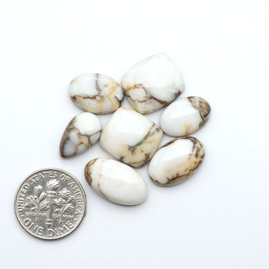 Wild Horse Magnesite cabochons, white gemstones with brown matrix on a white background, with a US dime for scale