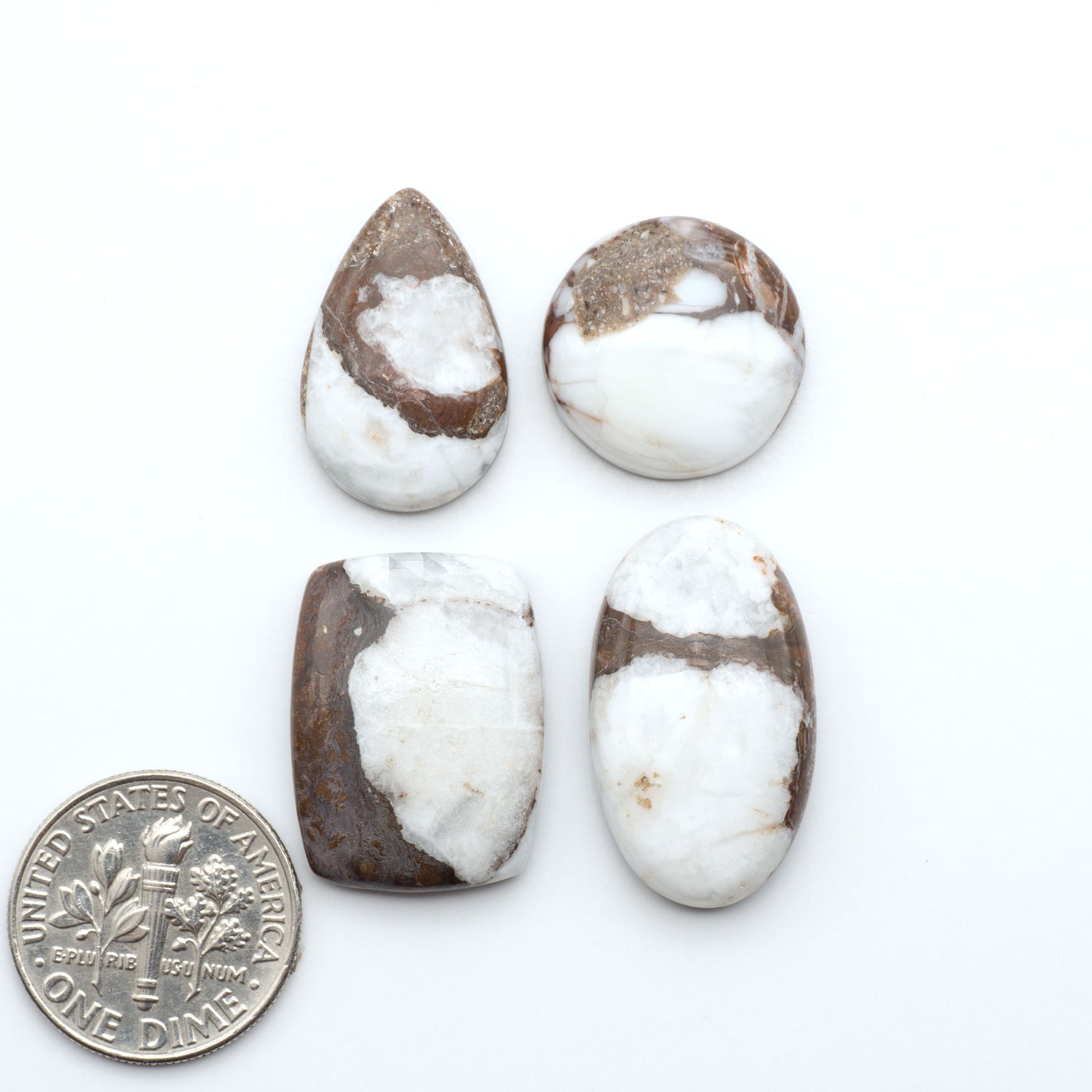 Wild Horse Magnesite cabochons, white gemstones with brown matrix on a white background, with a US dime for scale