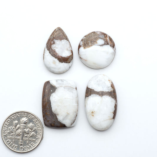Wild Horse Magnesite cabochons, white gemstones with brown matrix on a white background, with a US dime for scale