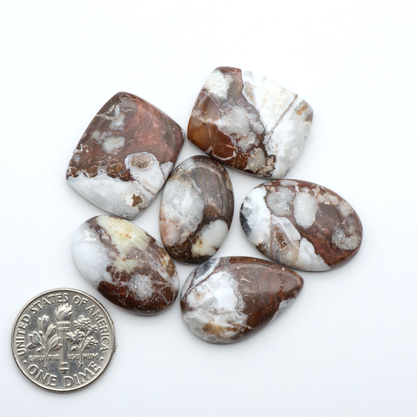 Wild Horse Magnesite cabochons, white gemstones with brown matrix on a white background, with a US dime for scale