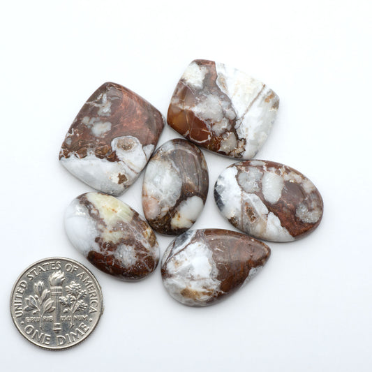 Wild Horse Magnesite cabochons, white gemstones with brown matrix on a white background, with a US dime for scale