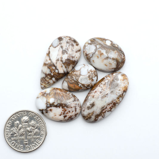 Wild Horse Magnesite cabochons, white gemstones with brown matrix on a white background, with a US dime for scale