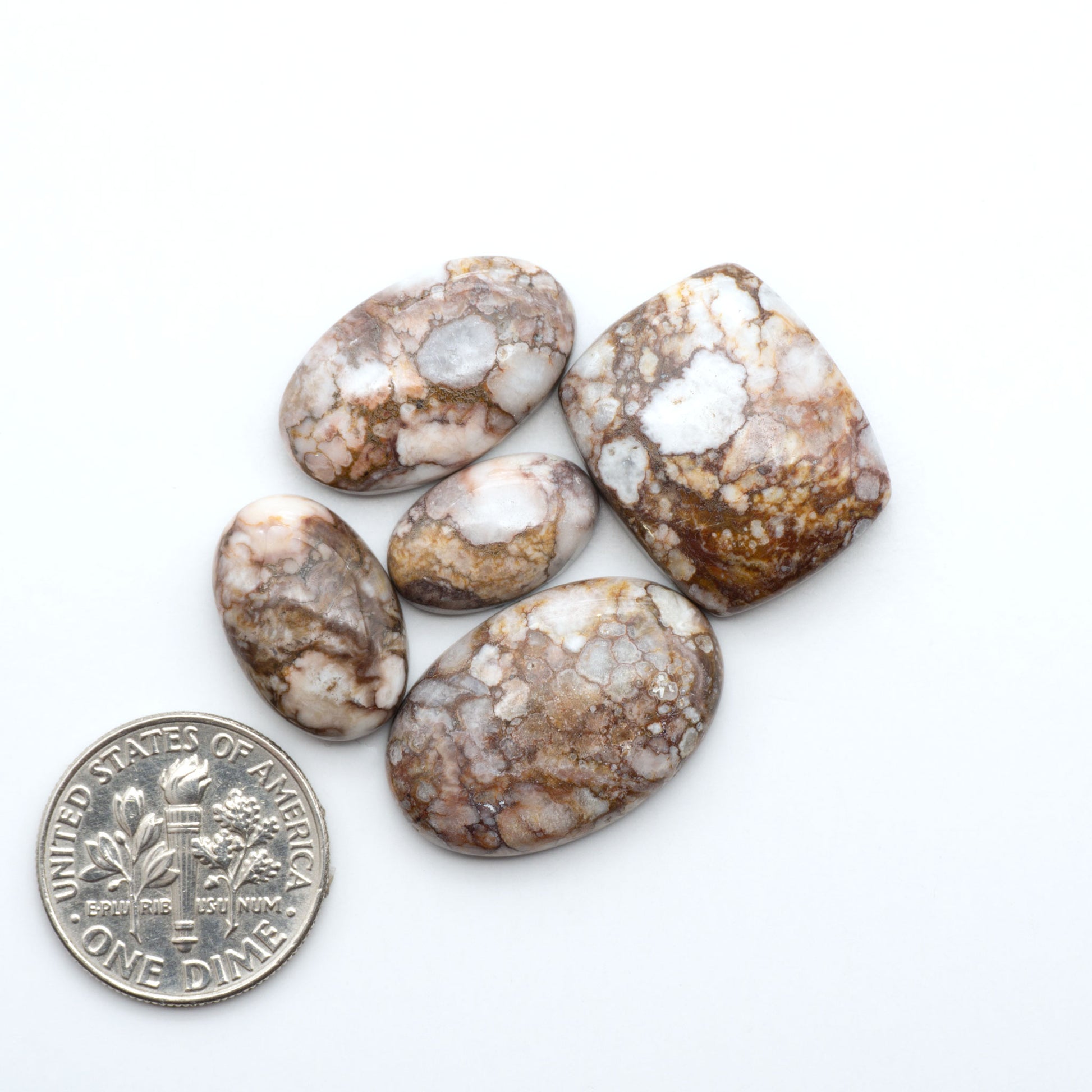 Wild Horse Magnesite cabochons, white gemstones with brown matrix on a white background, with a US dime for scale