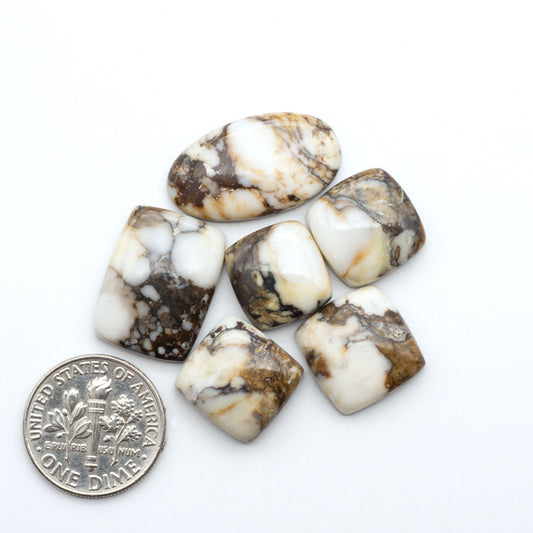 Wild Horse Magnesite cabochons, white gemstones with brown matrix on a white background, with a US dime for scale