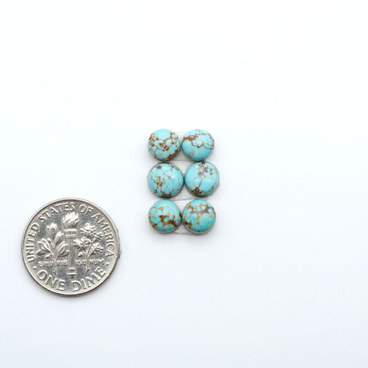 Number 8 Turquoise cabochons, blue and green color with brown matrix, polished stones on a white background, with a US dime for scale