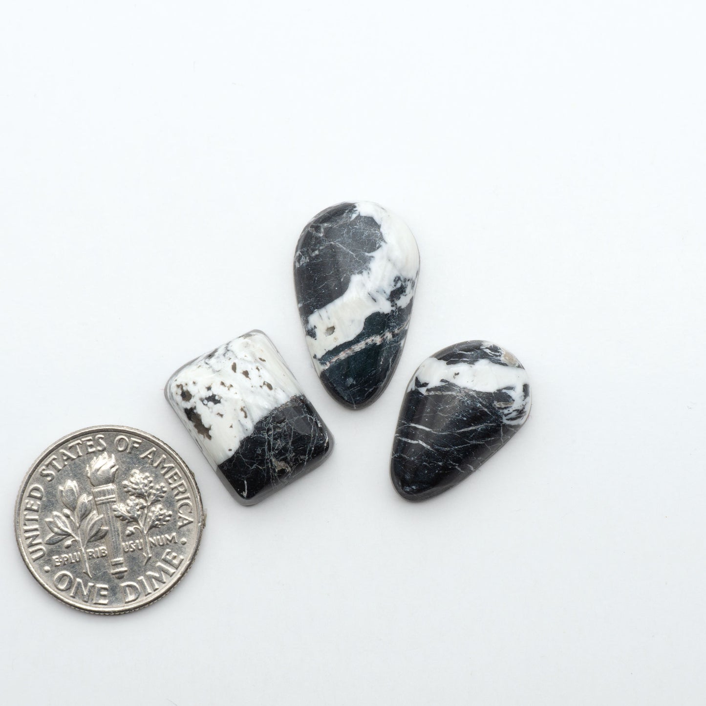 White Buffalo stone cabochons, white stone with black matrix, polished stones on a white background, with a US dime for scale