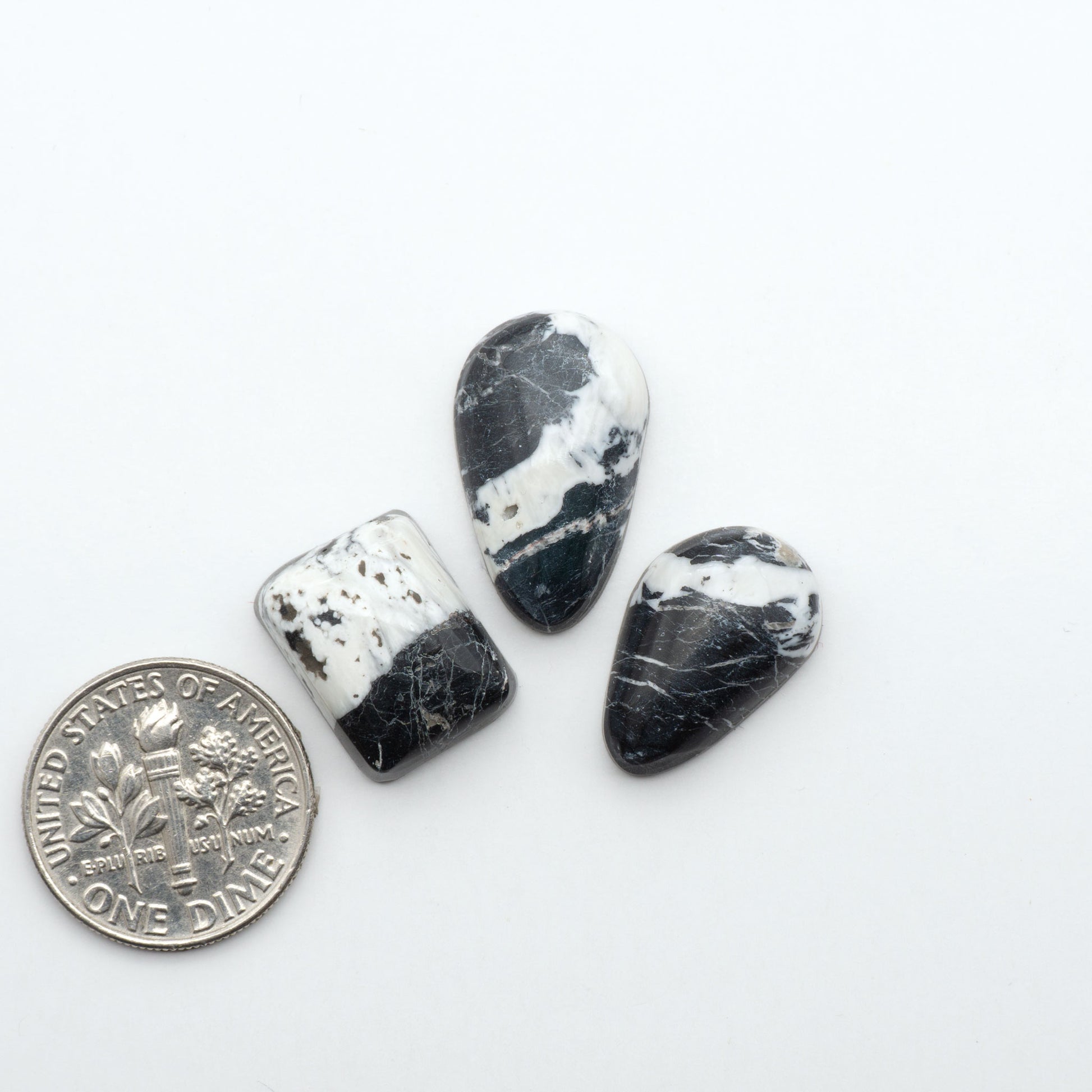 White Buffalo stone cabochons, white stone with black matrix, polished stones on a white background, with a US dime for scale
