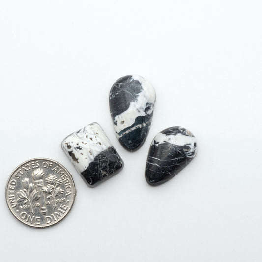 White Buffalo stone cabochons, white stone with black matrix, polished stones on a white background, with a US dime for scale