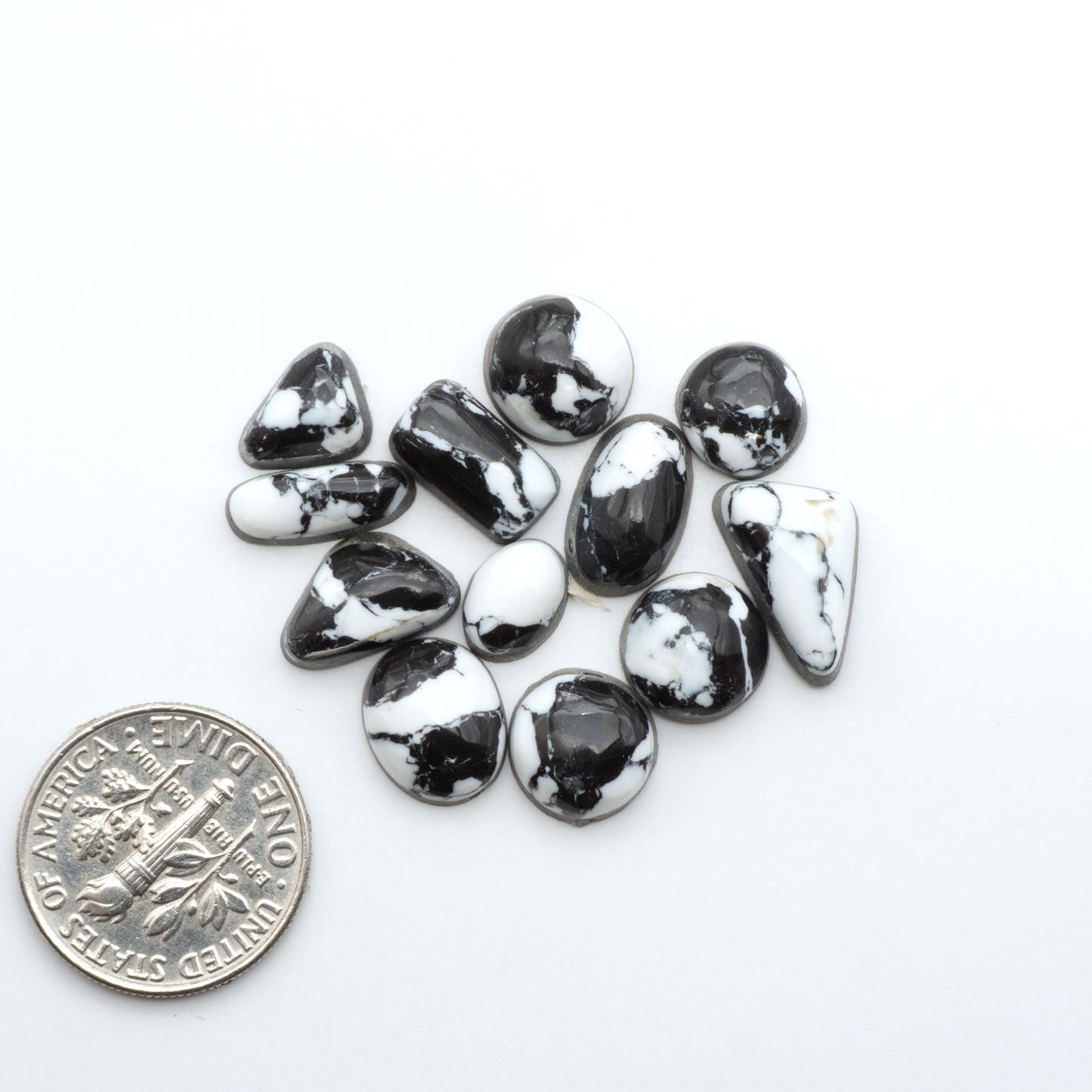 White Buffalo composite cabochons, black and white gemstones on a white background with a US dime for scale