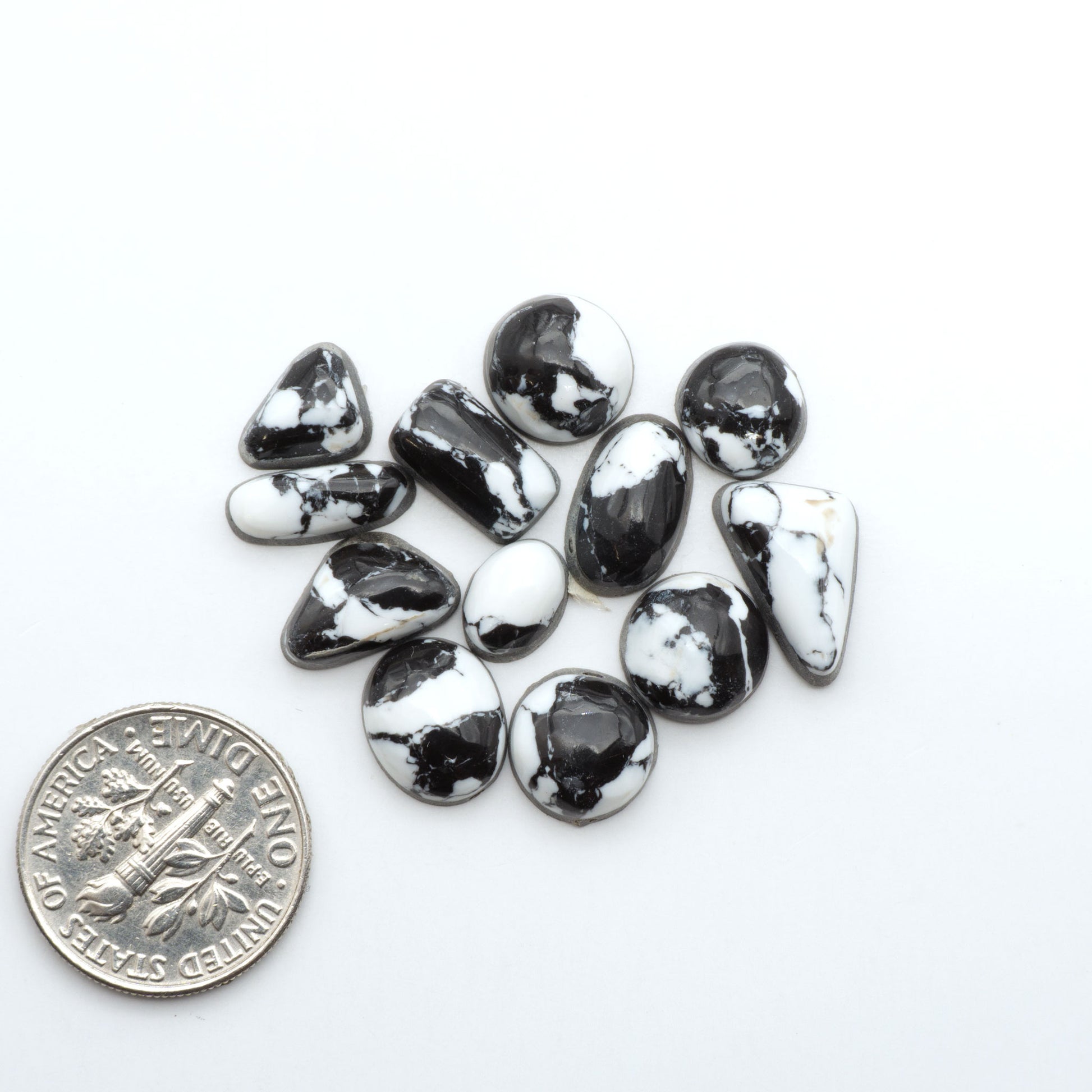 White Buffalo composite cabochons, black and white gemstones on a white background with a US dime for scale