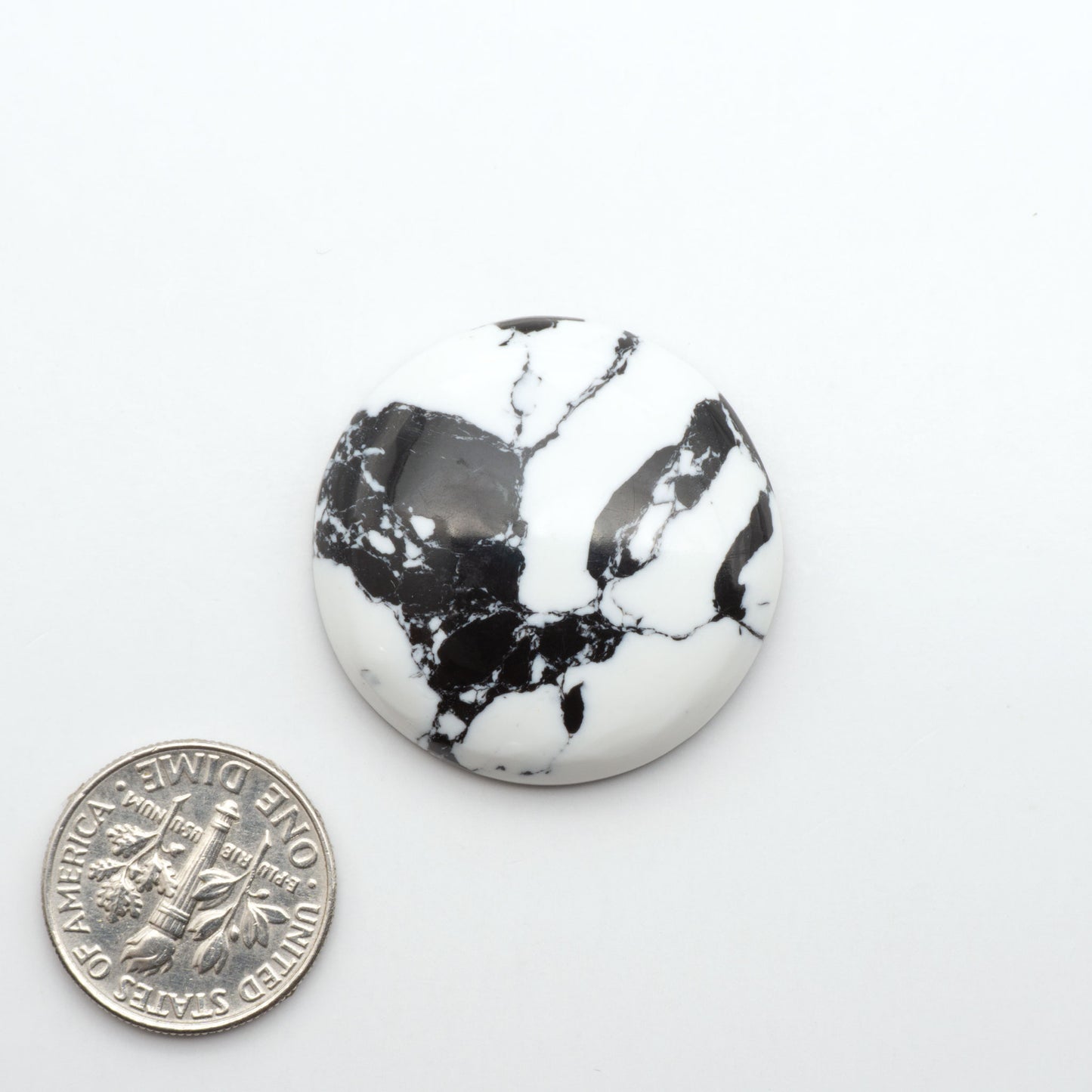 White Buffalo composite cabochons, black and white gemstones on a white background with a US dime for scale