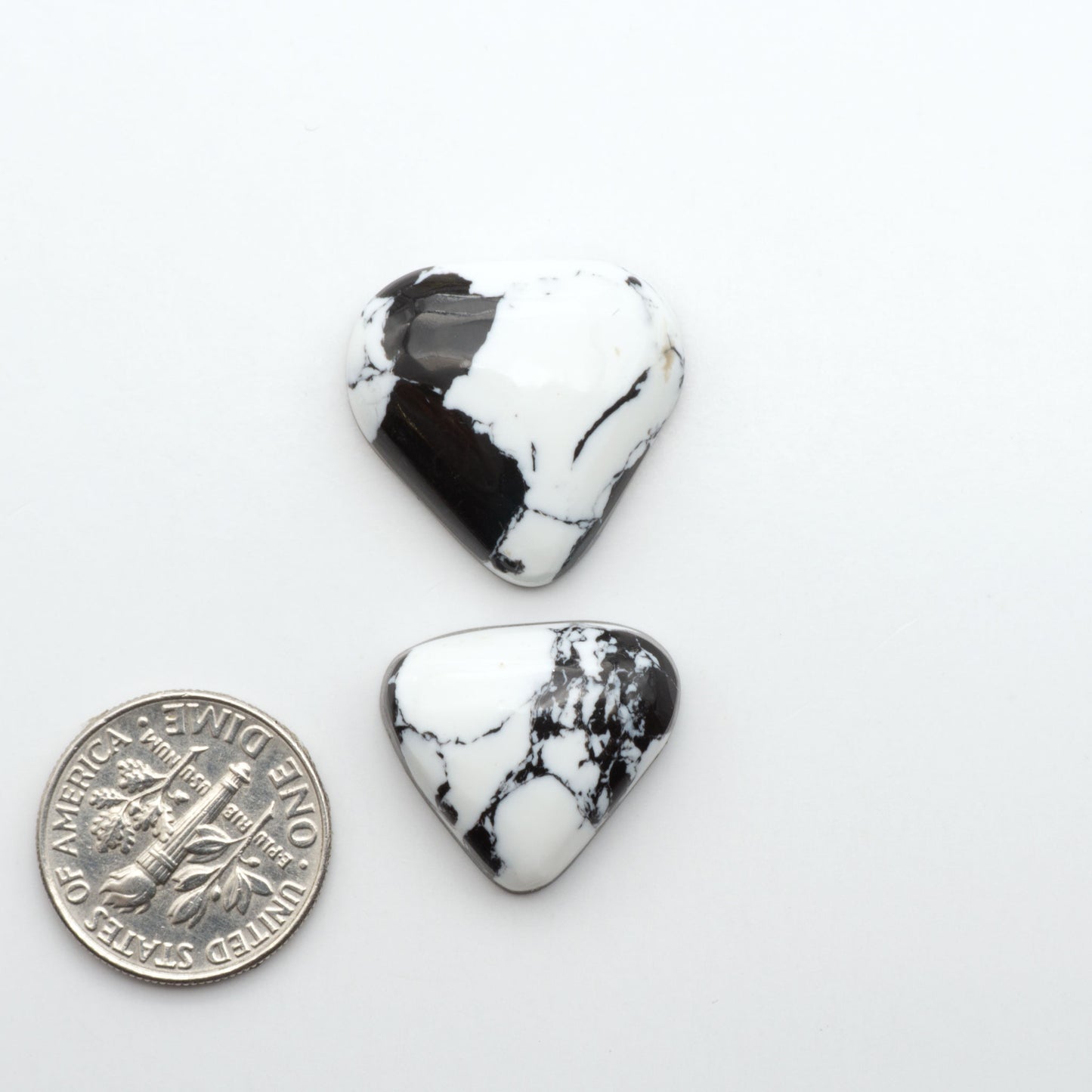 White Buffalo composite cabochons, black and white gemstones on a white background with a US dime for scale