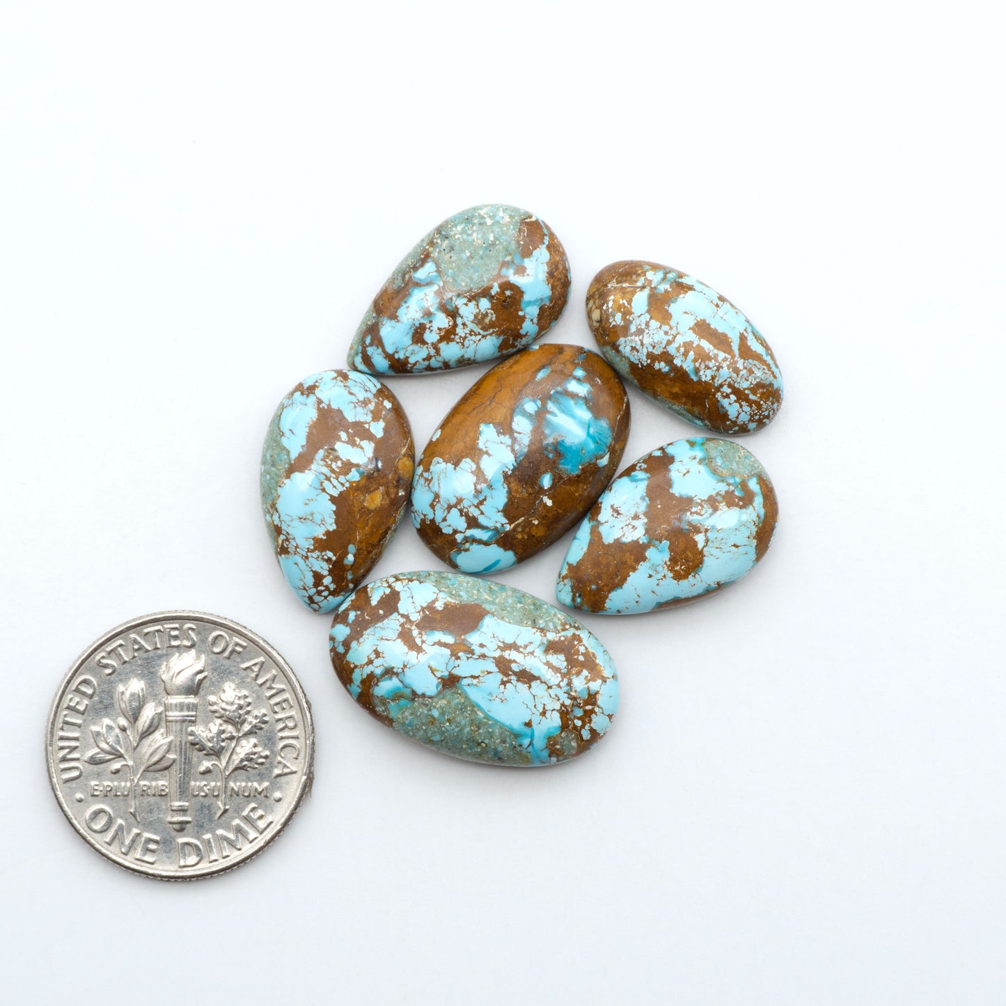 Royston Turquoise cabochons, blue-green color with natural matrix, polished stones on a white background, with a US dime for scale