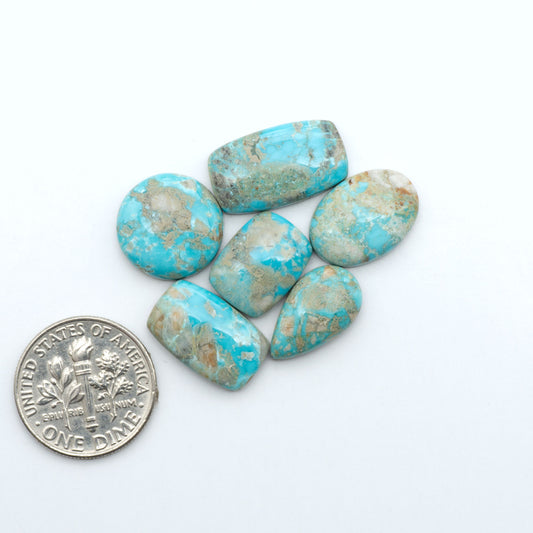 Fox Turquoise cabochons, polished gemstones with natural matrix on a white background, with a US dime for scale