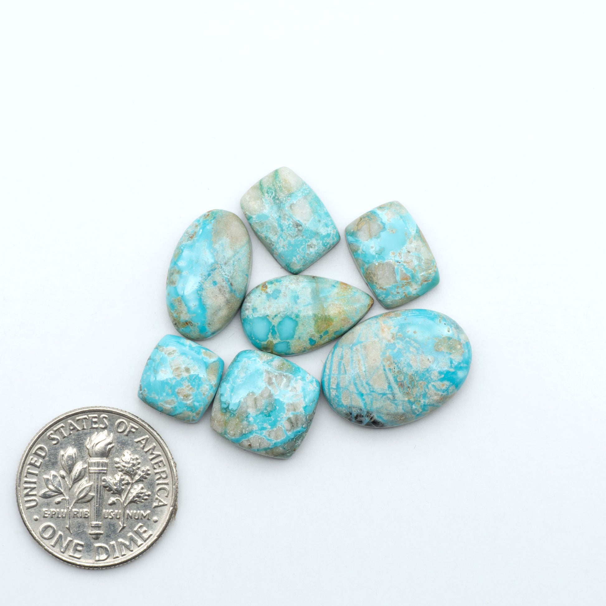 Fox Turquoise cabochons, polished gemstones with natural matrix on a white background, with a US dime for scale