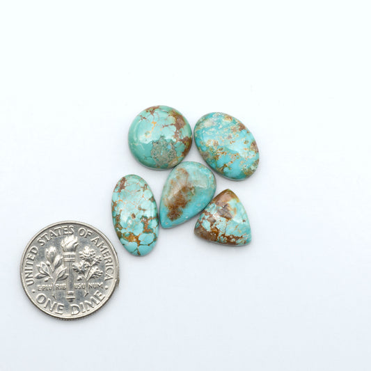 Fox Turquoise cabochons, polished gemstones with natural matrix on a white background, with a US dime for scale