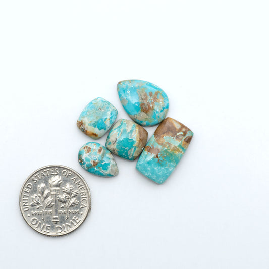 Fox Turquoise cabochons, polished gemstones with natural matrix on a white background, with a US dime for scale