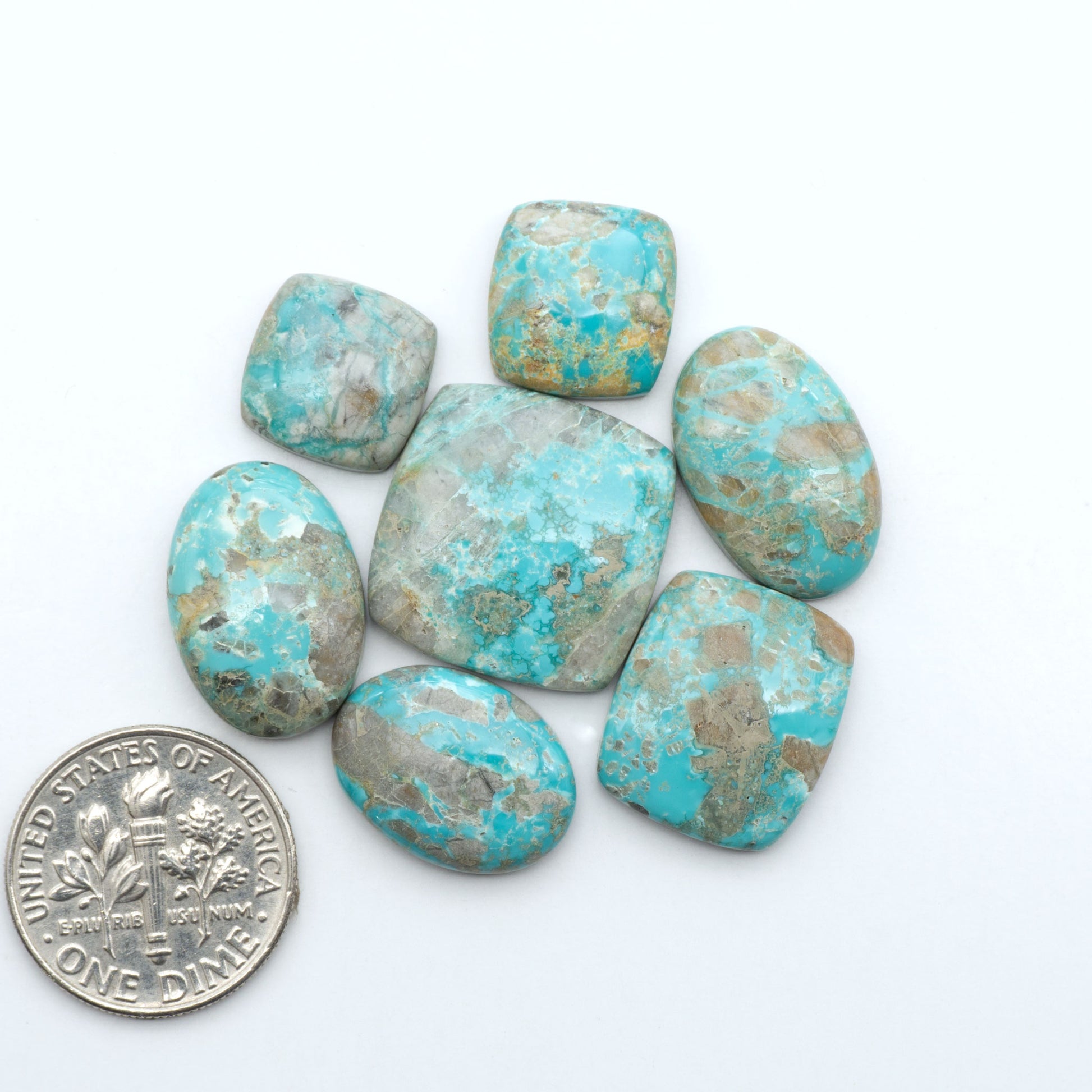 Fox Turquoise cabochons, polished gemstones with natural matrix on a white background, with a US dime for scale