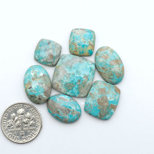 Fox Turquoise cabochons, polished gemstones with natural matrix on a white background, with a US dime for scale