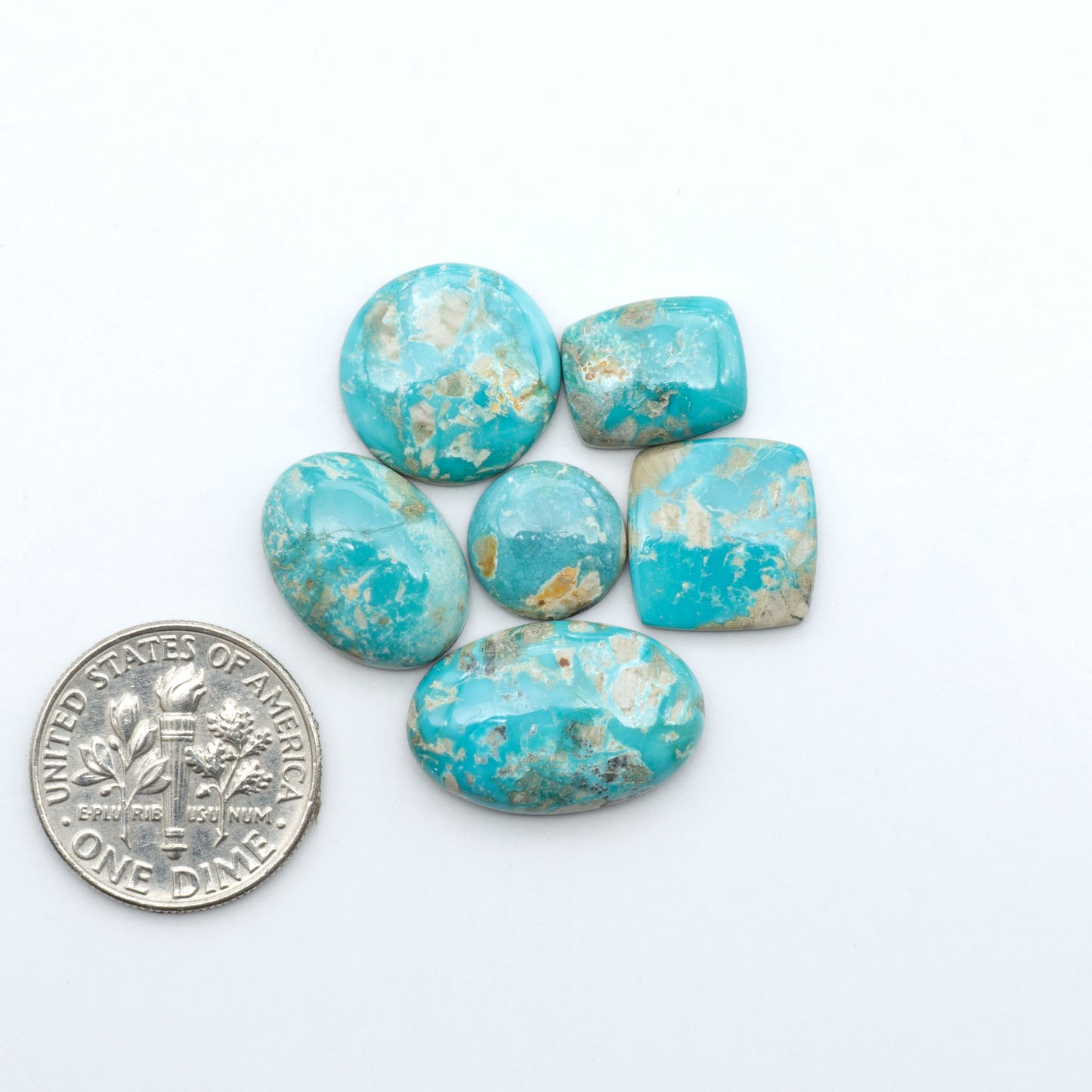 Fox Turquoise cabochons, polished gemstones with natural matrix on a white background, with a US dime for scale