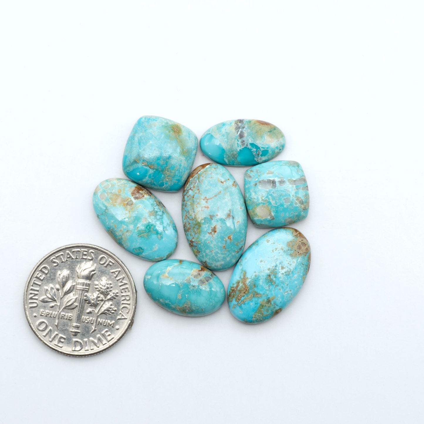 Fox Turquoise cabochons, polished gemstones with natural matrix on a white background, with a US dime for scale