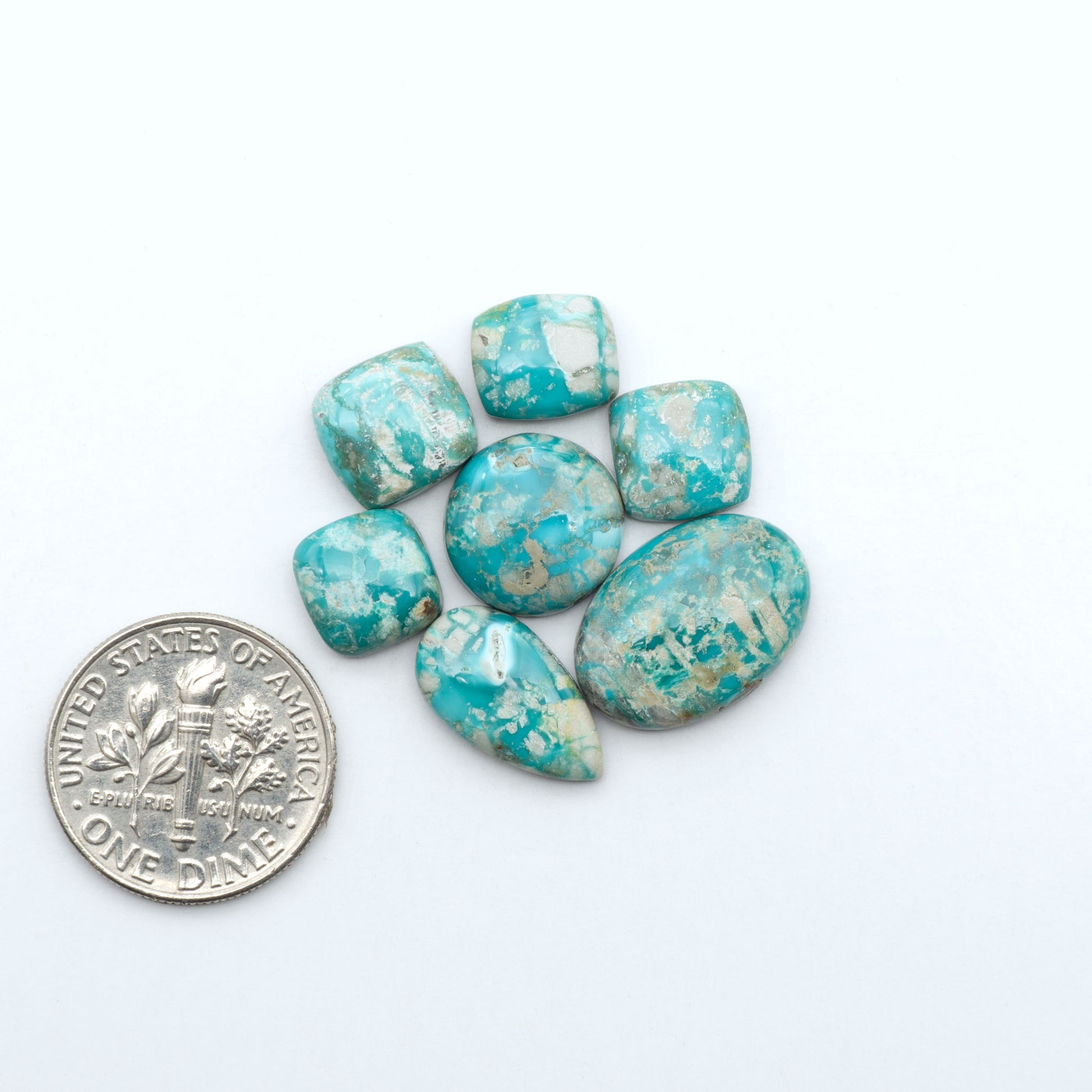 Fox Turquoise cabochons, polished gemstones with natural matrix on a white background, with a US dime for scale