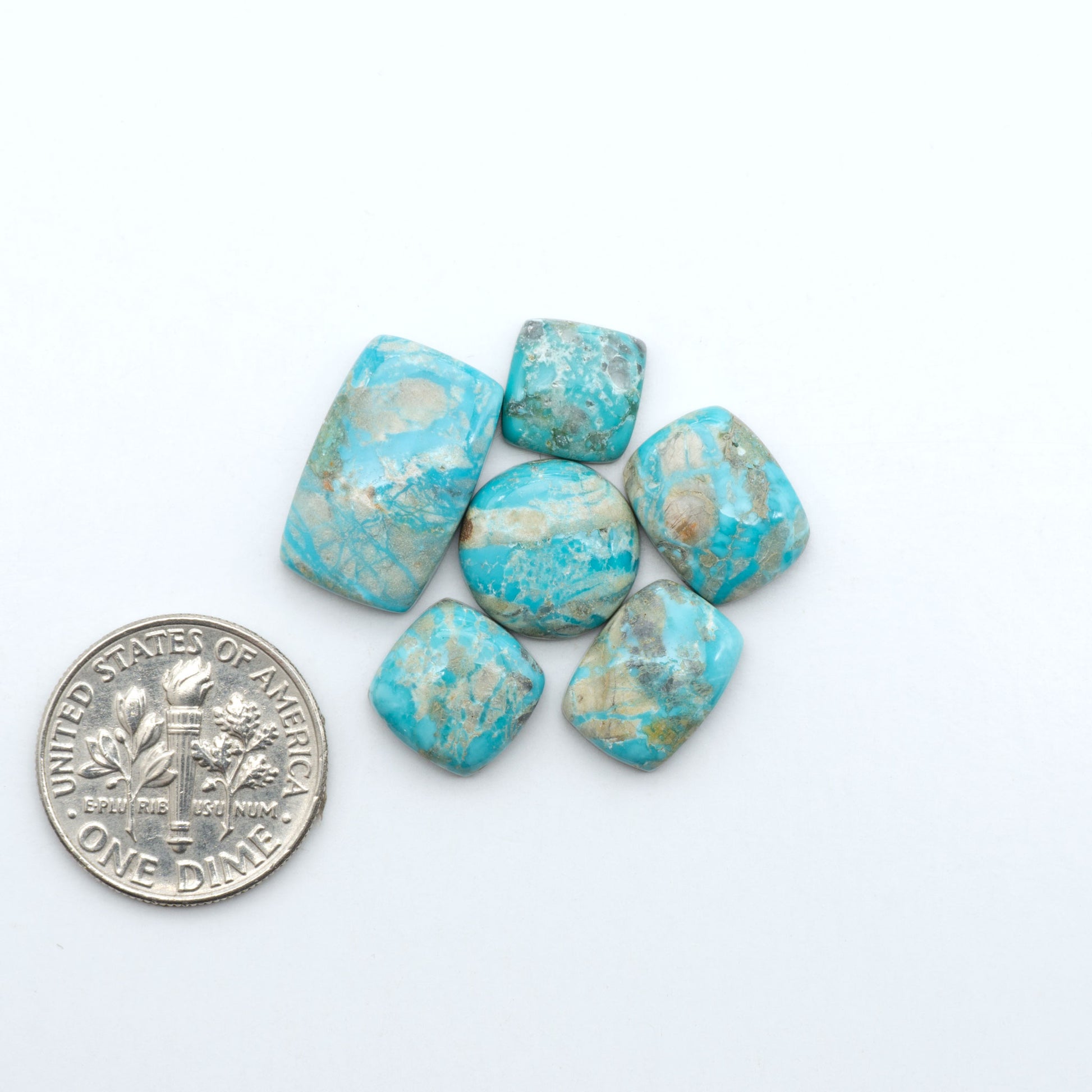 Fox Turquoise cabochons, polished gemstones with natural matrix on a white background, with a US dime for scale