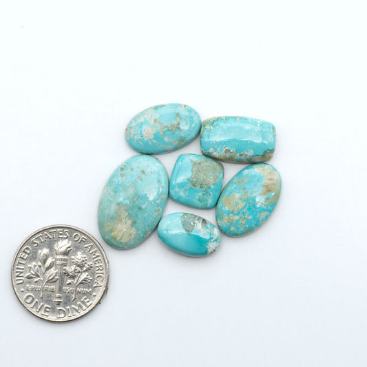 Fox Turquoise cabochons, polished gemstones with natural matrix on a white background, with a US dime for scale