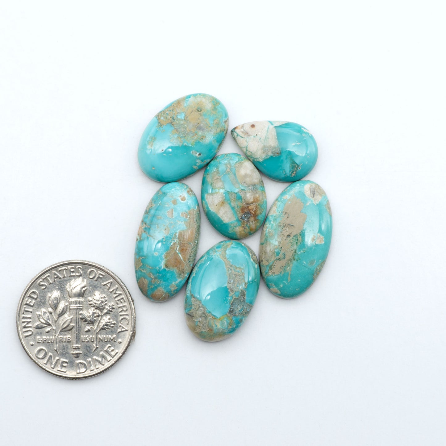 Fox Turquoise cabochons, polished gemstones with natural matrix on a white background, with a US dime for scale